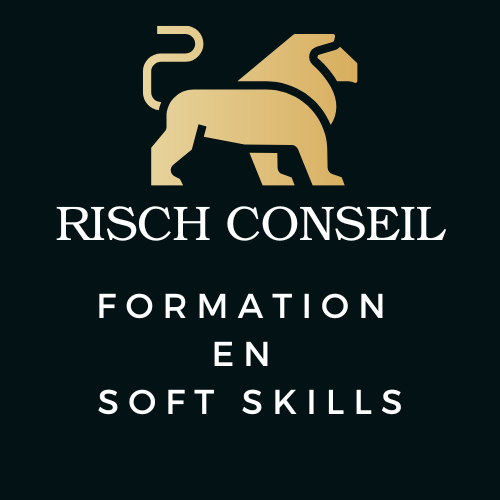 logo risch conseil